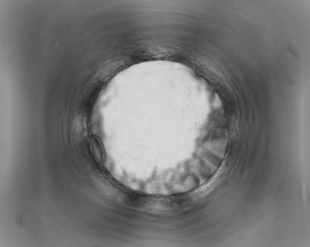 X0000111680182200908141457