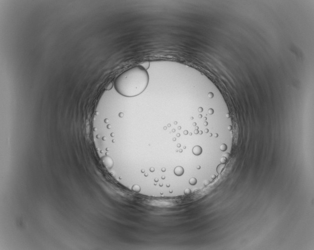 X0000111680183200908141457