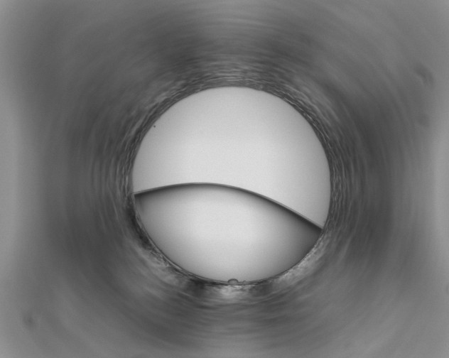 X0000111680184200908141457