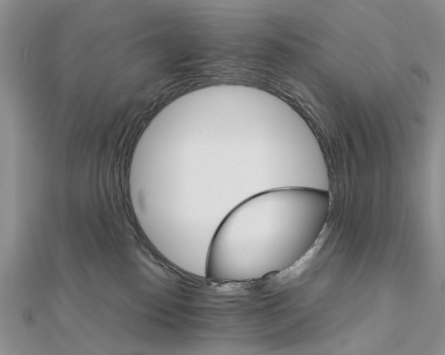 X0000111680186200908141457