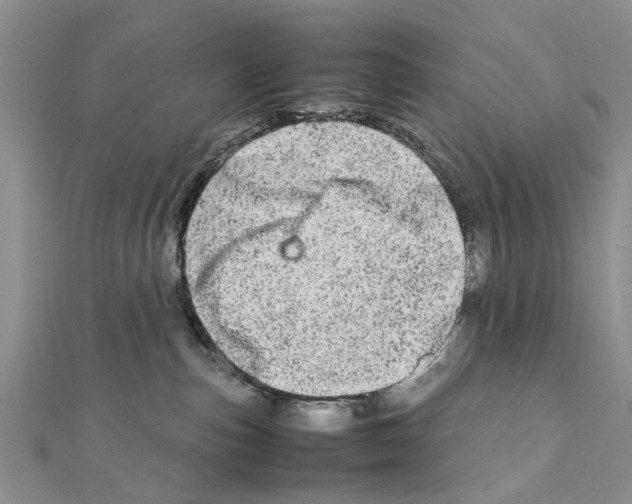 X0000111680187200908141457