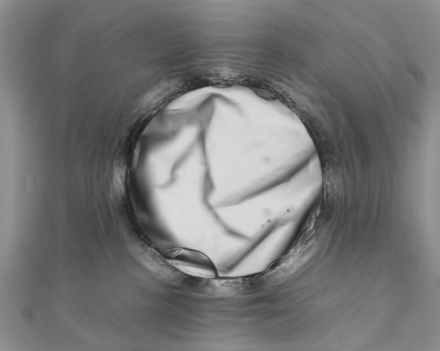 X0000111680188200908141457