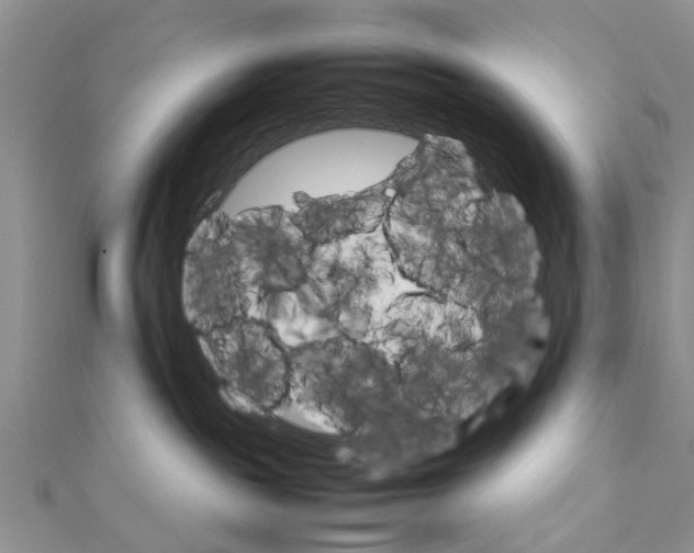 X0000111680189200908141457