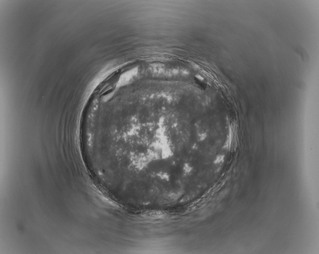 X0000111680195200908141457