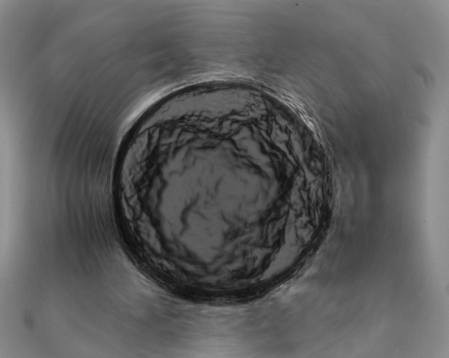 X0000111680196200908141457