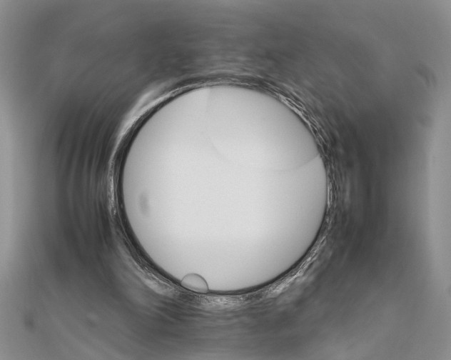 X0000111680198200908141457