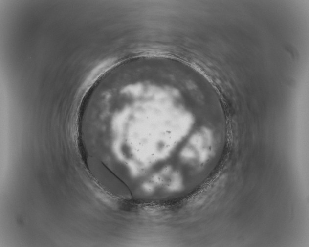 X0000111680199200908141457