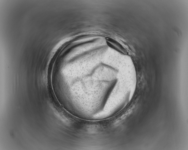 X0000111680200200908141457