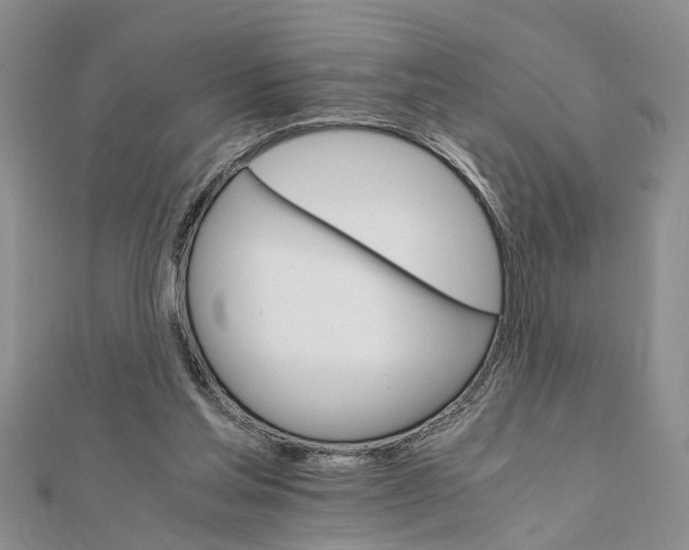 X0000111680205200908141457