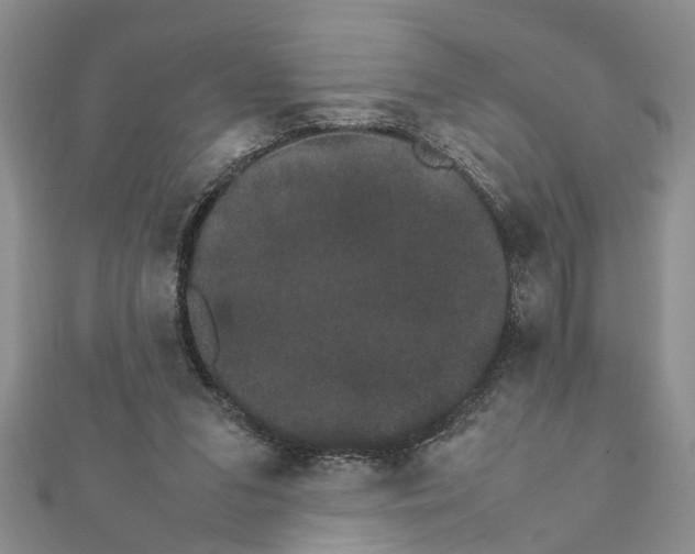 X0000111680207200908141457