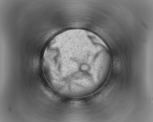 X0000111680208200908141457