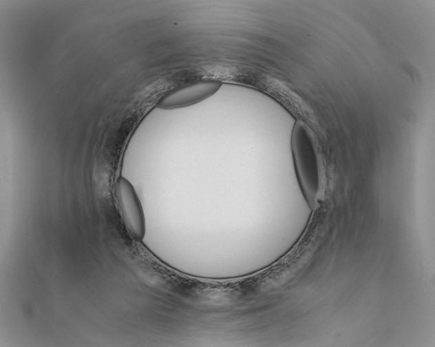 X0000111680209200908141457