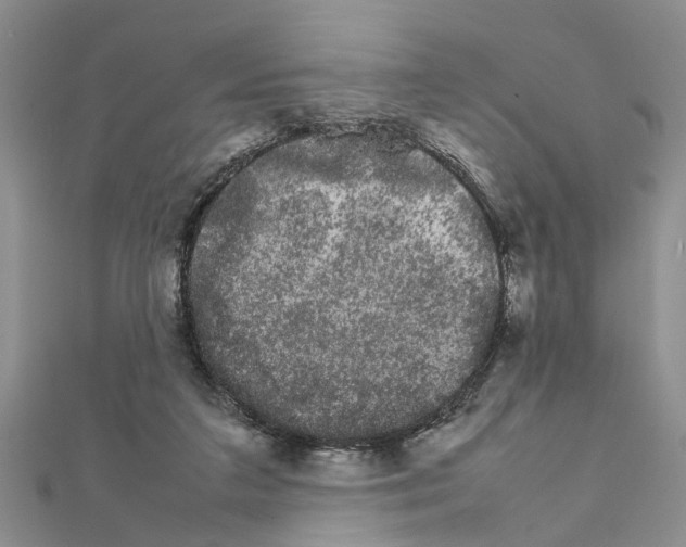 X0000111680211200908141457