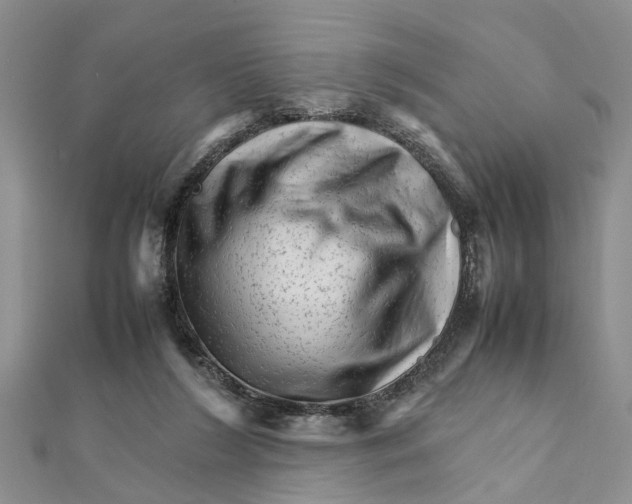 X0000111680212200908141456