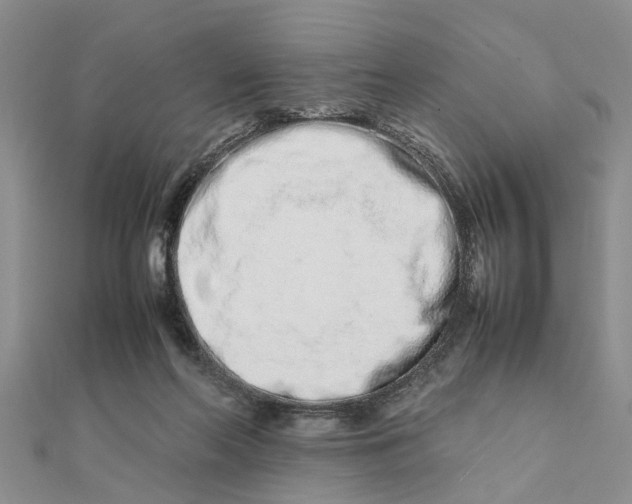 X0000111680214200908141456