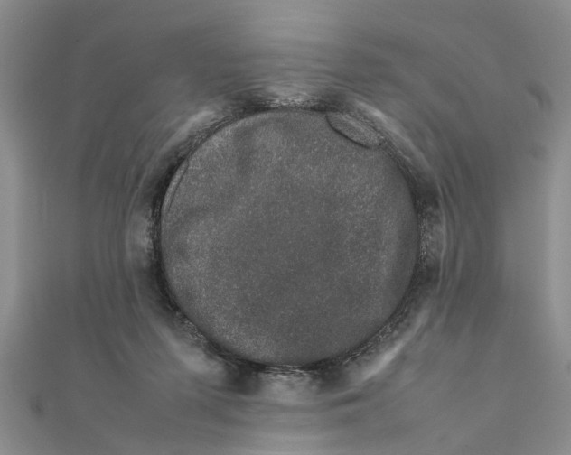 X0000111680215200908141456