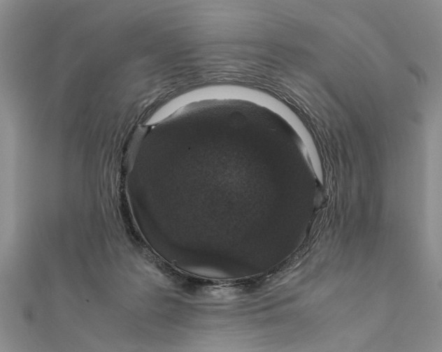 X0000111680219200908141456