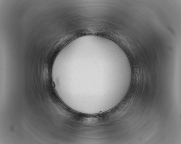 X0000111680220200908141456