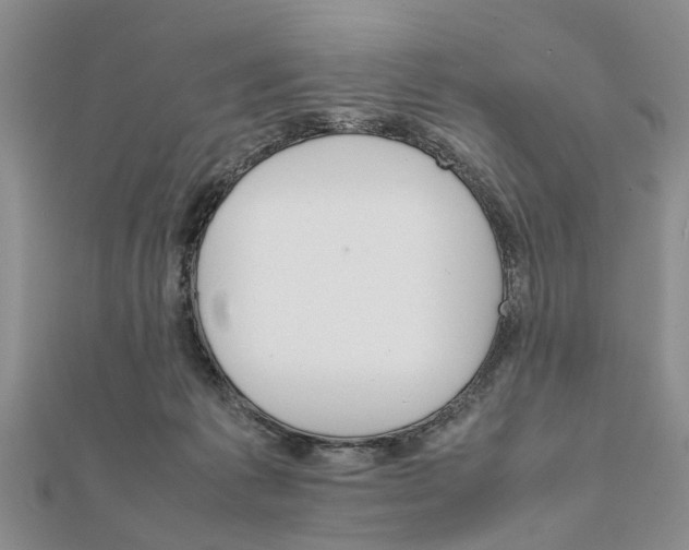 X0000111680221200908141456