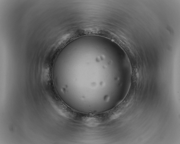 X0000111680224200908141456