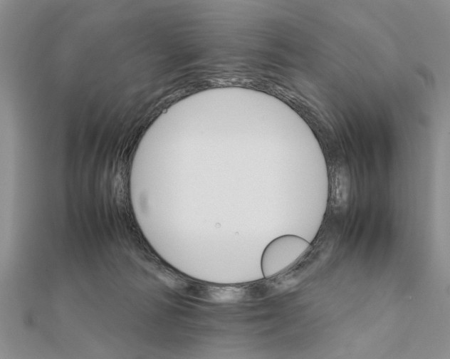 X0000111680226200908141456