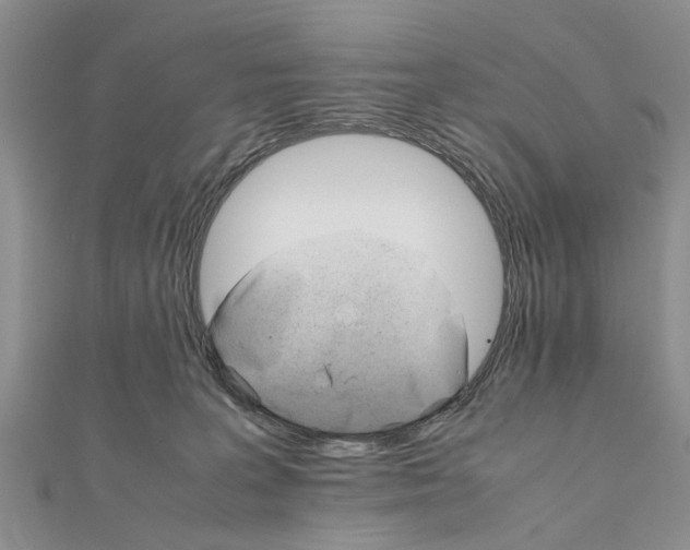 X0000111680227200908141456