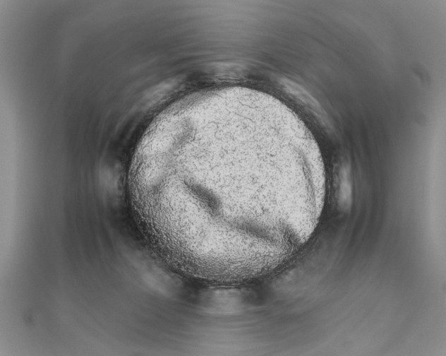 X0000111680228200908141456