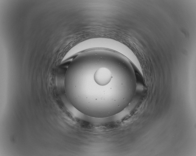 X0000111680229200908141456