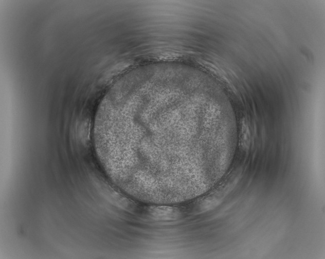 X0000111680230200908141456