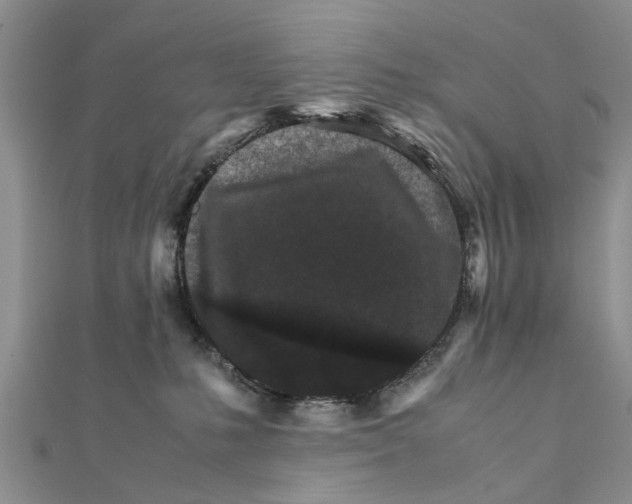 X0000111680231200908141456