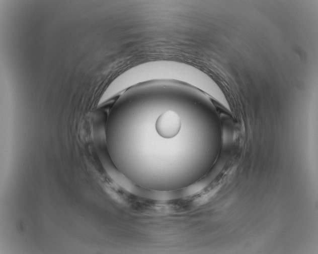 X0000111680233200908141456