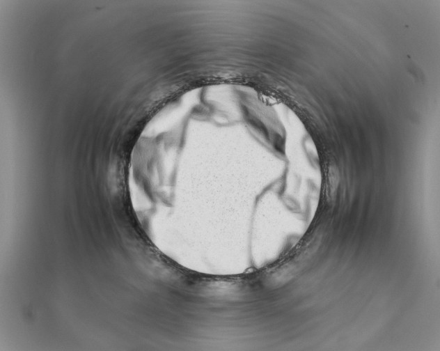 X0000111680236200908141456