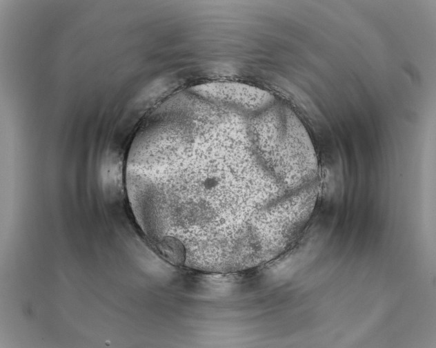 X0000111680238200908141456