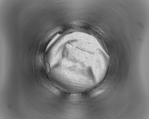 X0000111680240200908141456