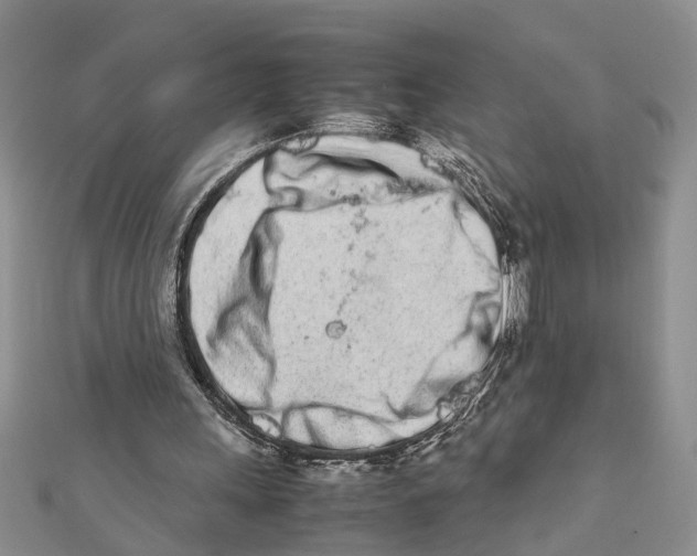 X0000111680243200908141456