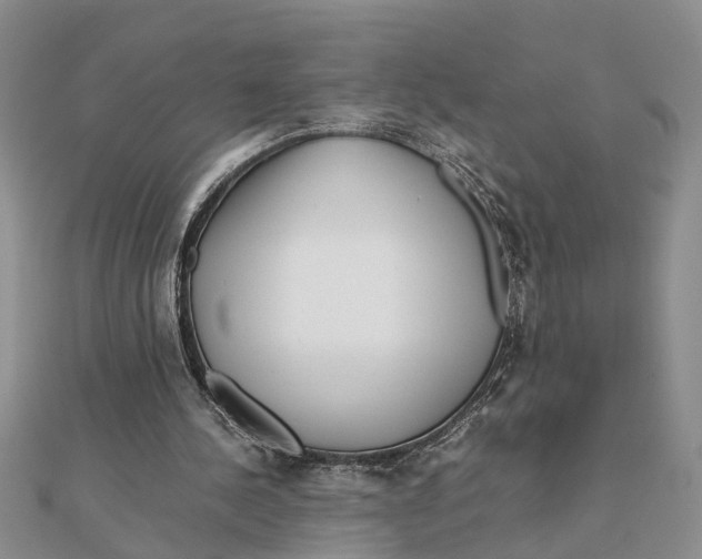 X0000111680244200908141456