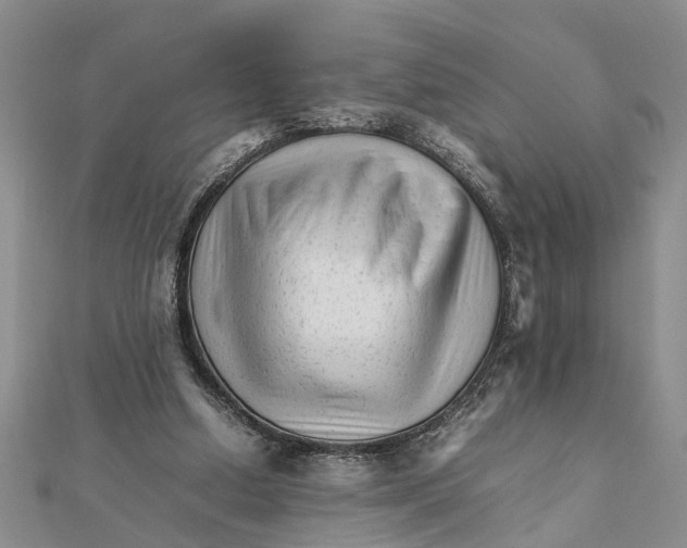 X0000111680250200908141456