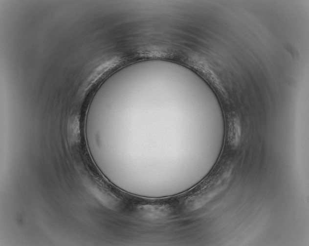 X0000111680251200908141456