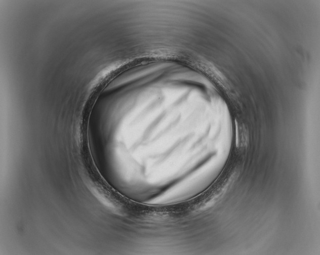 X0000111680252200908141456