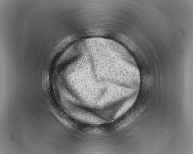 X0000111680254200908141456