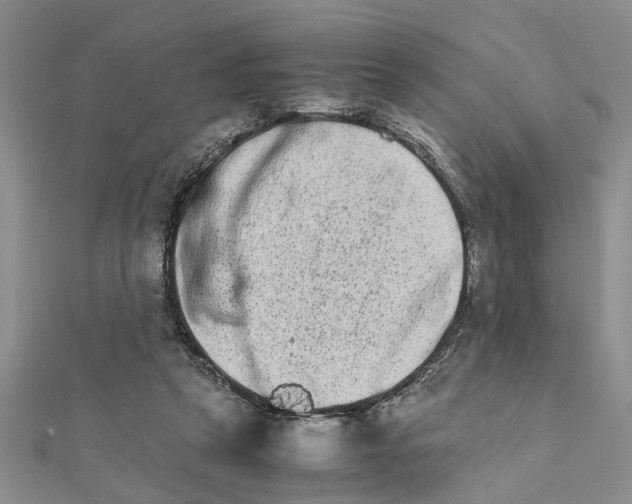 X0000111680257200908141456