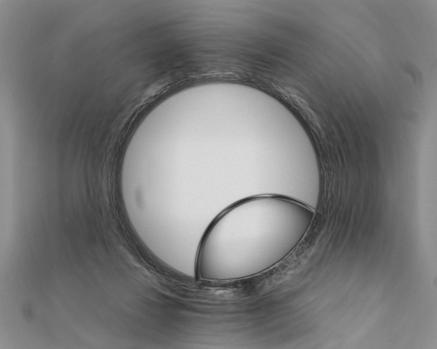 X0000111680260200908141456