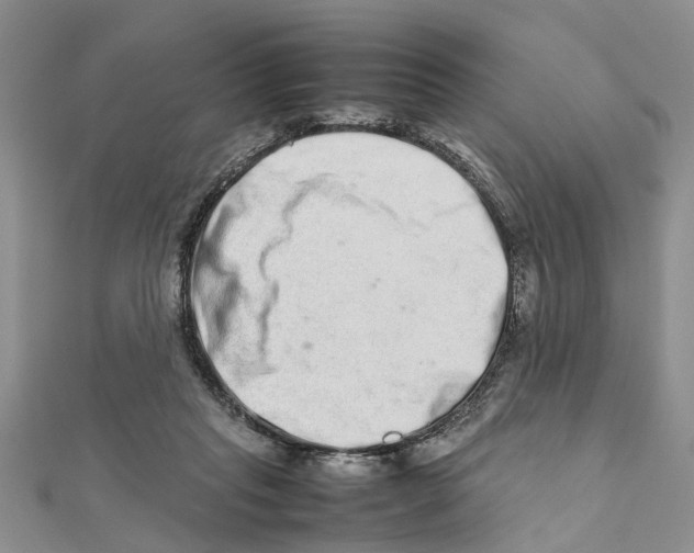 X0000111680261200908141456