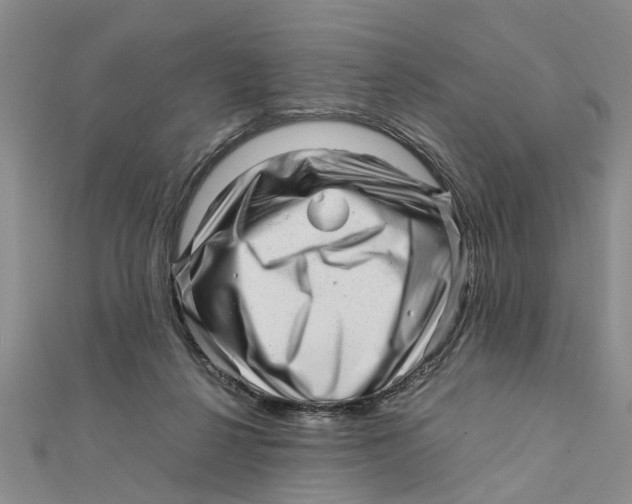 X0000111680264200908141456