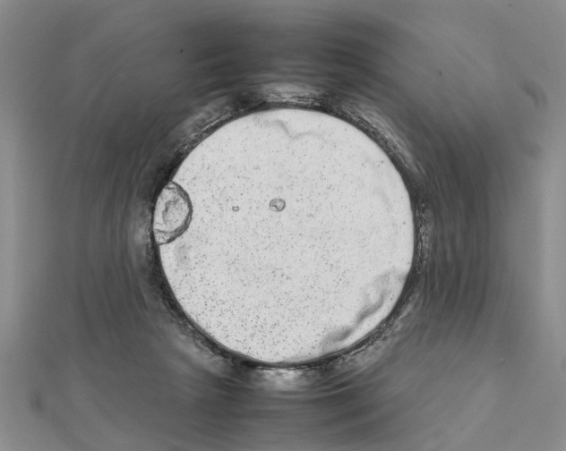 X0000111680265200908141456