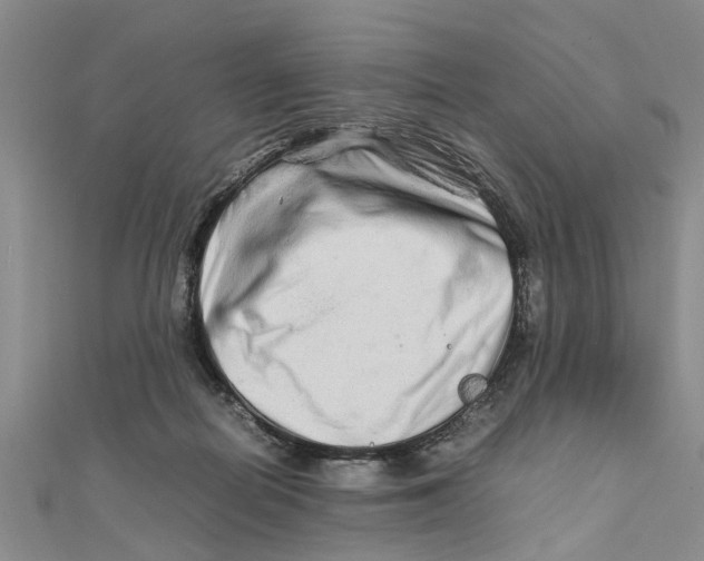 X0000111680266200908141456