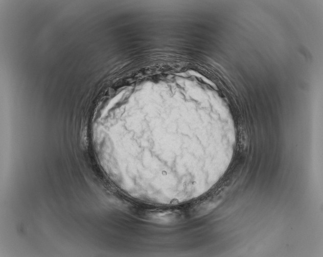 X0000111680267200908141456