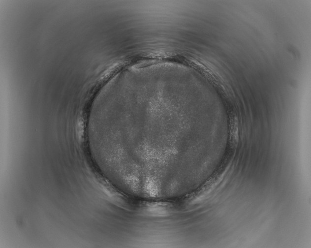 X0000111680268200908141456