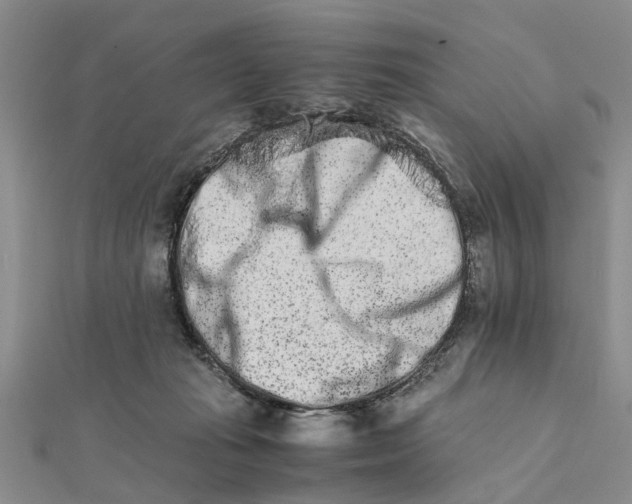 X0000111680269200908141456