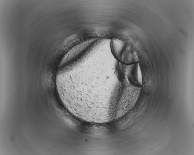 X0000111680270200908141456